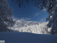 2017-12-29 V. del Morretano 051